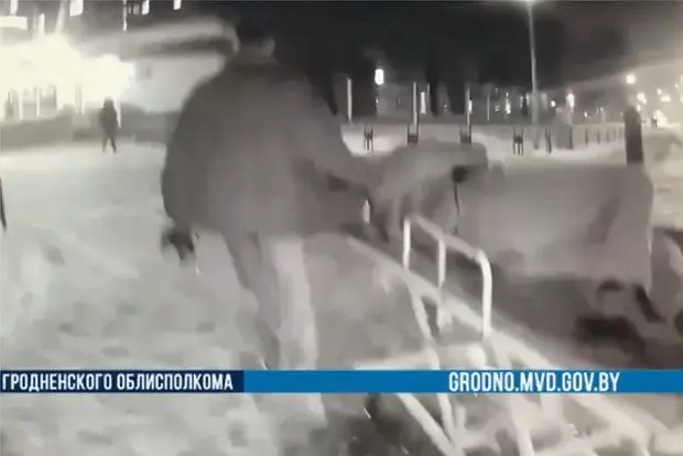 Вводная картинка