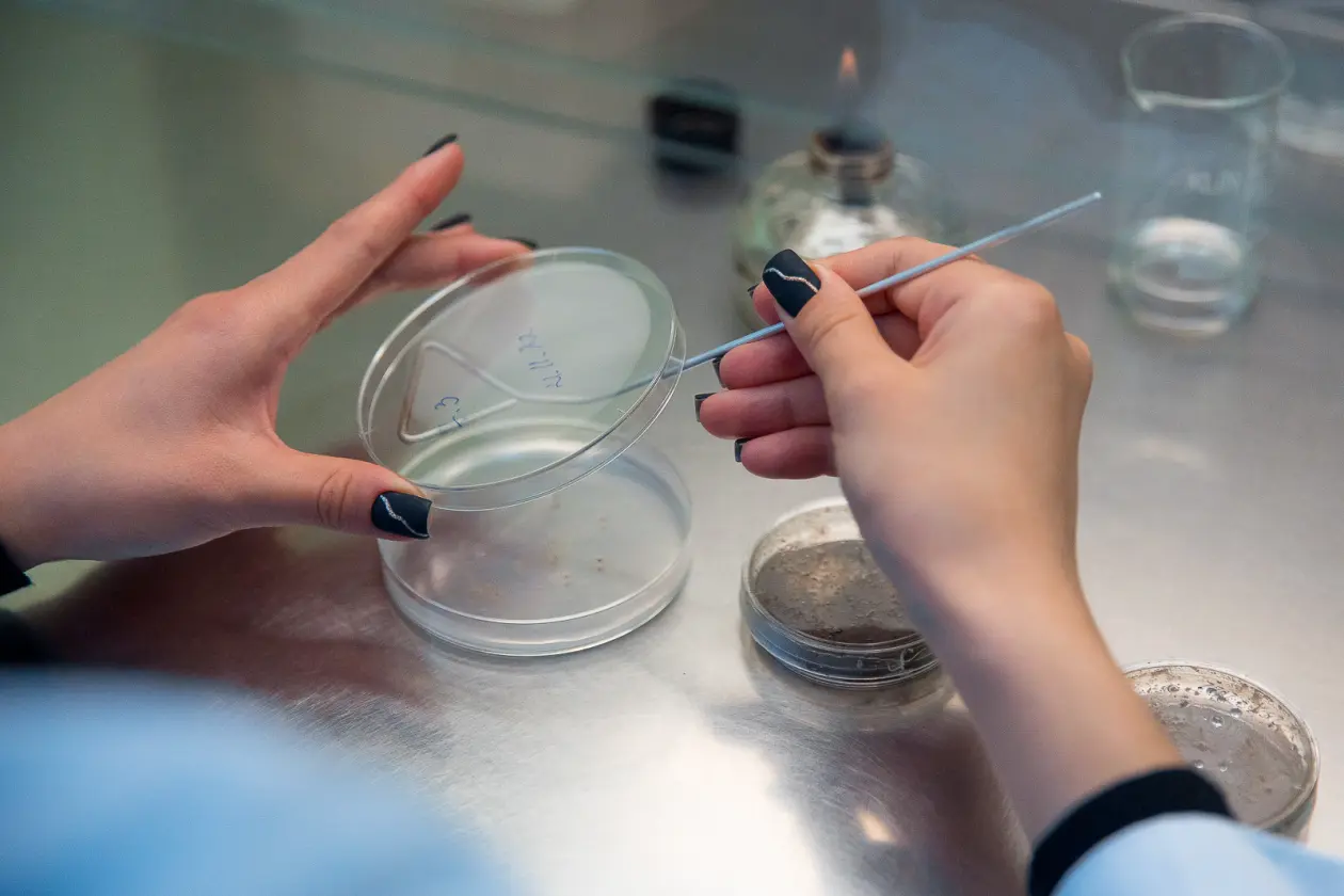 Фото: primamedia.ru