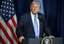 Гислейн Максвелл предложила Трампу сделку для очищения его имени gislejn maksvell predlozhila trampu sdelku dlya ochishheniya ego imeni-urbandigest-ru-0