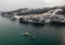 Госдума и Новиков оптимистично оценили диалог РФ-Япония о Курилах gosduma i novikov optimistichno oczenili dialog rfyaponiya o kurilah-urbandigest-ru-0