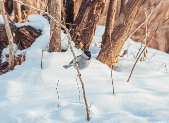 Фото: primamedia.ru