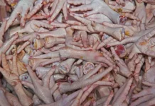 Россия укрепляет позиции благодаря успеху экспорта куриных лапок в Китай rossiya ukreplyaet poziczii blagodarya uspehu eksporta kurinyh lapok v kitaj-urbandigest-ru-0