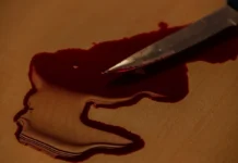 Жительница Приморья предстанет перед судом за ревность к мужу zhitelnicza primorya predstanet pered sudom za revnost k muzhu-urbandigest-ru-0