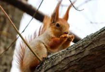 Александр Ильин и Татьяна Позднякова оценили сроки тепла в Москве aleksandr ilin i tatyana pozdnyakova oczenili sroki tepla v moskve-urbandigest-ru-0