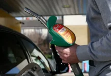 dmitriev iz rfpi o perspektivah toplivnogo rynka evropy-urbandigest-ru-0