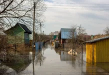 Гидрометцентр: Подготовка к половодью на Протве и Нерской завершена gidrometczentr podgotovka k polovodyu na protve i nerskoj zavershena-urbandigest-ru-0