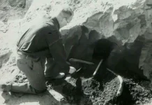 rozenbrok i verhejen raskryli tajny kopij neandertalczev-urbandigest-ru-0