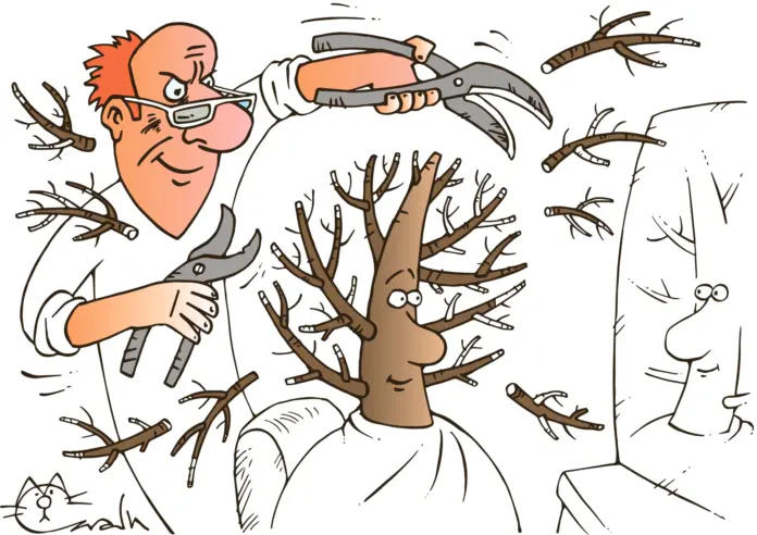 Весенние Ребята готовят сад к урожаю, обрезая деревья и кустарники-0