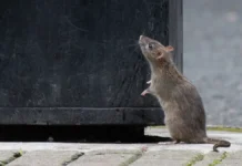 zabota o zhilczah v zhk yurlovo i ego okruzhenii-urbandigest-ru-0