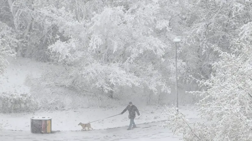 В Вологодской области из-за снегопада у 25 тысяч жителей отсутствует свет