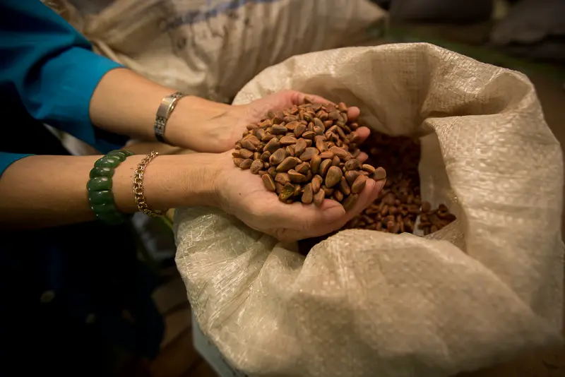 Фото: primamedia.ru