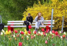 moskva i podmoskove teplaya vesna i priyatnaya pogoda-urbandigest-ru-0