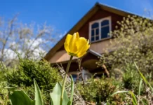 nikita chaplin rasskazal o pravah snt i vazhnyh nyuansah dlya dachnikov-urbandigest-ru-0