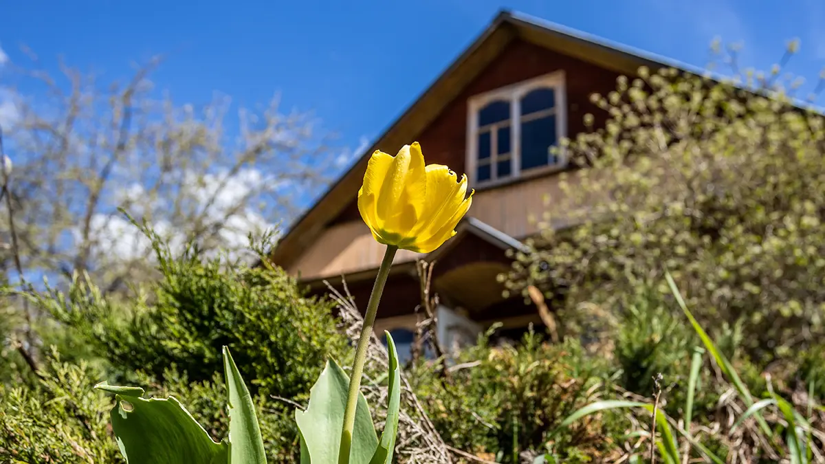 За что могут исключить из СНТ