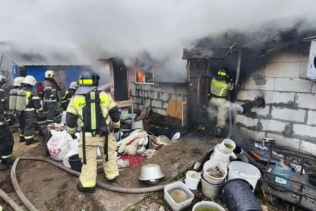 Вводная картинка