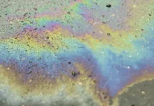 u beregov anapy chyornoe more menyaetsya k luchshemu-urbandigest-ru-0