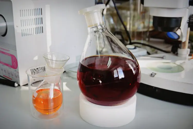 scientificrussia.ru