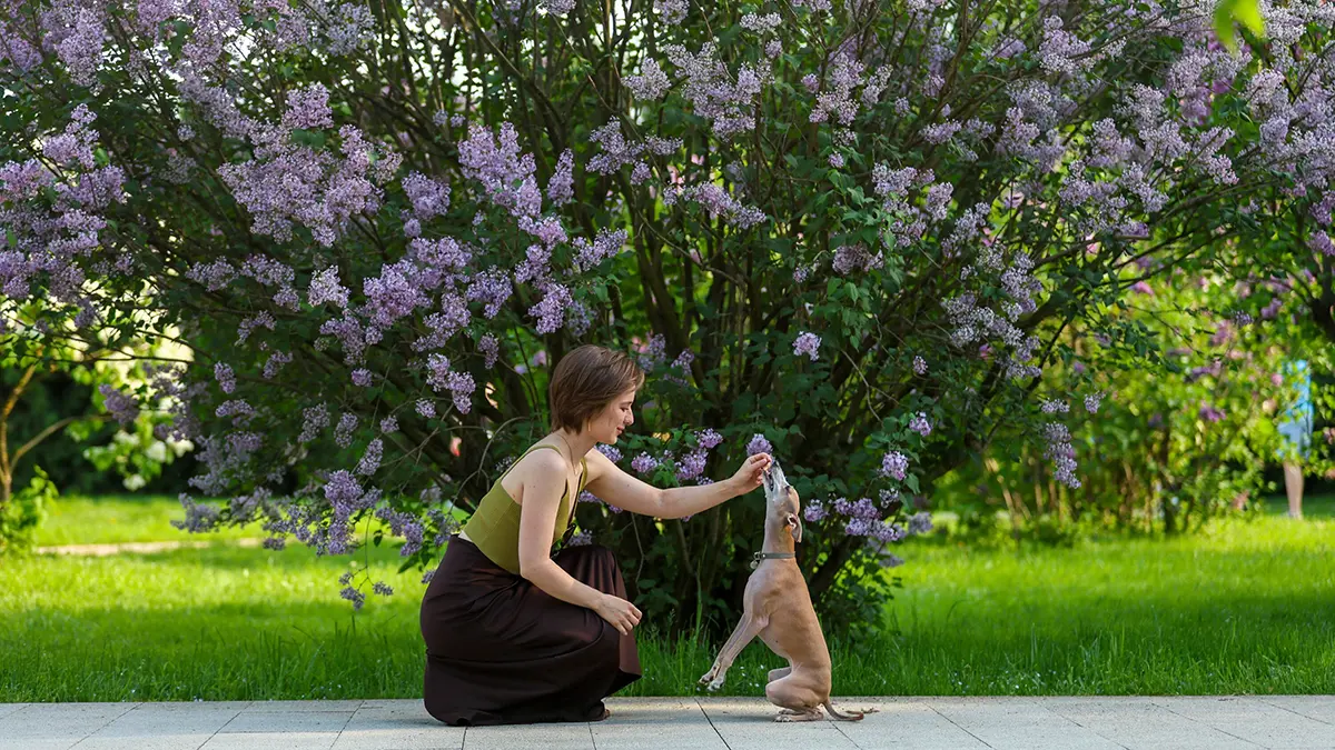 Синоптик Макарова: Температура начнет расти в Московском регионе в выходные