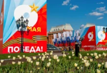 petr biryukov soobshhil o tyulpanah kompleksa gorodskogo hozyajstva moskvy-urbandigest-ru-0