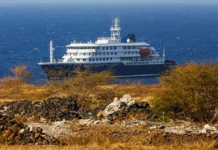 Тайна MV Hondius: россиянин среди жертв хантавируса у Кабо-Верде tajna rossiyanin sredi zhertv hantavirusa u kaboverde-urbandigest-ru-0
