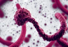 pozitivnye tendenczii v sderzhivanii eboly v dr kongo blagodarya voz-urbandigest-ru-0