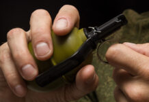 Находчивый кот обнаружил опасную игрушку: как быстро среагировали хозяева 31810e10-0f34-4623-94b3-f7f60c35825b-674ba510