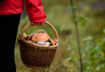 3a599b70-84eb-48c3-9eac-f0c1e9271d24-674ba397