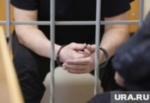 Оперативное раскрытие кражи спортивной одежды в Курганской области Приговор мужчине сбившему девочку на самокате. Курган