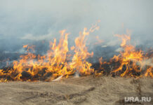 6b2a8b32-ee8a-455c-ac0c-2de902bd47df-674cc4de