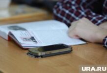 Школа. Курган