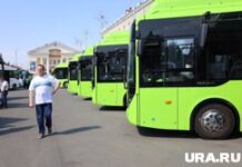 Обновление автопарка в Шадринске: новые возможности для комфортных поездок Презентация новых автобусов. Курган