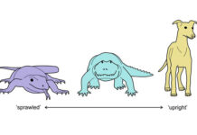 ba49cea5-2858-49c2-9bea-def748889966-67701357