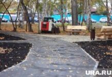 Новая площадка для четвероногих друзей появится в курганском парке «Молодежный» Молодежный парк. Курган