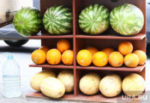 Челябинцы выбирают: любимые сорта арбузов и дынь f76b42fc-540f-4669-9a5d-df2f6e5416ab-674d3757