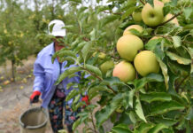 Расследование ситуации с принудительным трудом в Тульской области ff734dfb-99db-4b15-8b8c-26a86e713ae4-674d9d0f