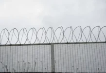 Суд вынес приговор по делу о крупном наркотрафике в Свердловской области 1d545480-b5be-40ff-bd04-01614390c49d-678fba2f