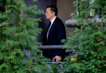 Илон Маск проявил интерес к приобретению телеканала MSNBC 2c0f936d-69d3-4d9e-8dea-a3b81563b67a-6794f8dc