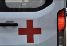 Особенности симптоматики норовируса: что нужно знать d68d2f9d-79f9-4258-8404-1811ebafa559-678fc166