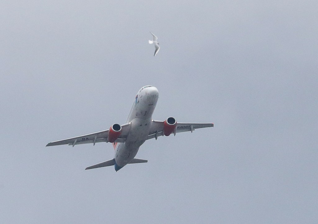 В Иране совершил рейс самолет, впервые управляемый женщинами