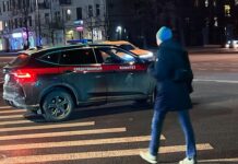 В Хабаровском крае начато расследование трагического инцидента с домашними животными 31075528-b8f8-425a-9bc7-090969bd3452-67bd865b