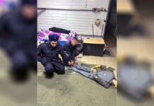 Правоохранители эффективно раскрыли преступление против постояльца хостела во Владимирской области 45e8ea38-5115-492a-9e5d-607b73d02f5b-67be5252