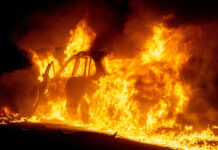 Оперативное реагирование служб спасения предотвратило серьезные последствия ДТП в Приморском районе 65e12770-0f78-4274-98b4-a99a461c8470-67c1854f