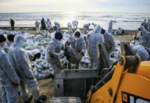 Экологическая ситуация на популярном пляже Анапы: оперативные меры по восстановлению 665c234a-4cb2-41e3-9f31-c55ced2748e6-67bc9fff