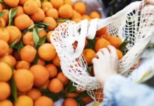 Импорт цитрусовых в Свердловскую область бьет рекорды 7e963dcf-47ed-487b-b53f-b5d16fe7fef7-67a5d462