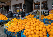 7ed7df09-f686-4335-b277-78c66f0ddf29-67c097f7