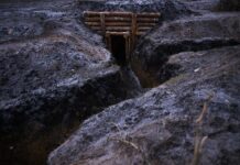 90b52758-c605-4837-9d92-a0b77216e147-67c70194