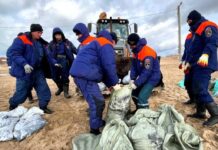 Активная очистка побережья: масштабные работы после разлива в Керченском проливе 9776fdcf-7e49-480f-bb3d-2f44d429f3c4-67bd0238