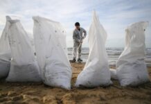 Очищение пляжа Анапы от мазута: первые результаты и перспективы восстановления 979a8589-5f97-42df-a083-8a63a760e4da-67bcbf36