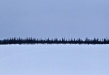 Спасенный экипаж Ан-2 поделился подробностями крушения 994c8b0a-19ca-42f8-b4f7-007a1af6bf98-67badc32