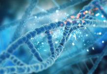 Научный прорыв: разгадана тайна редкого генетического заболевания aa4bee0e-5b23-4690-9e83-fab9d620b1c3-67bd42cc